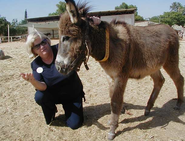 Ann Widdecombe visiting Safe Haven for Donkeys