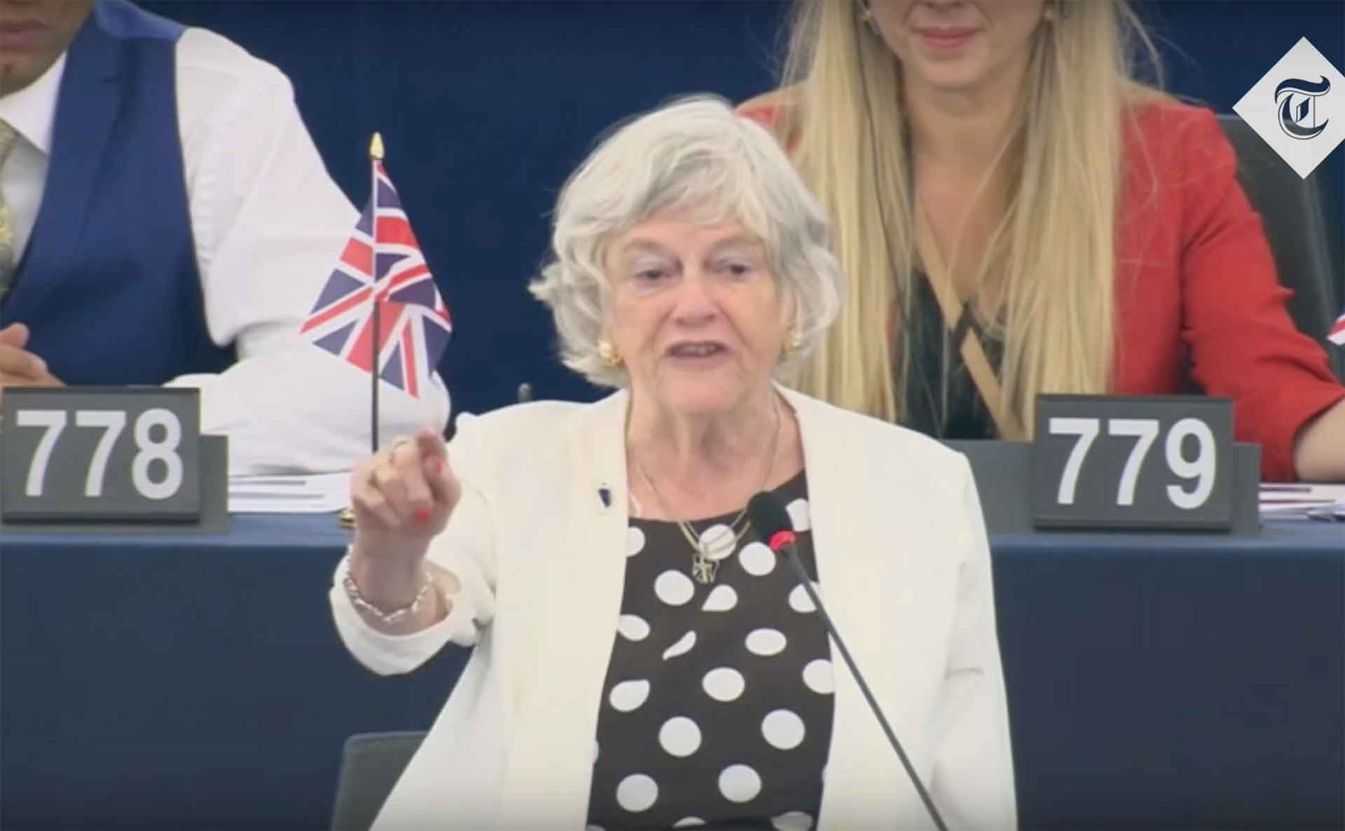 Ann speaking at the EU Parliament